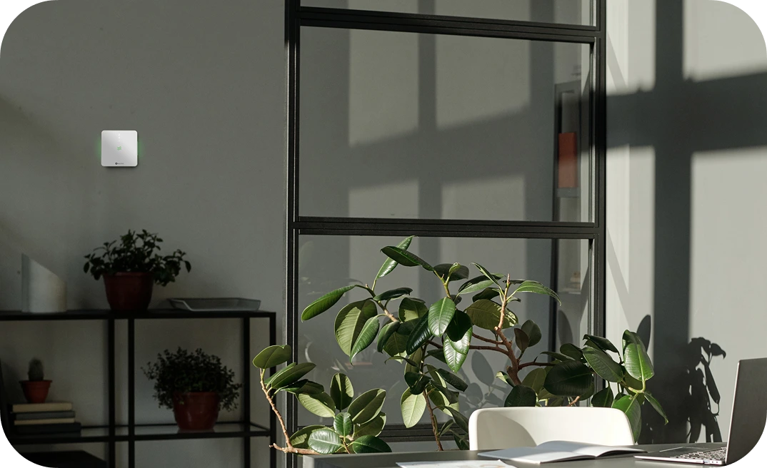 Measures and Monitors Air Quality in Homes, Offices and Businesses